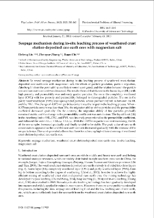Seepage mechanism during in-situ leaching process of weathered crust elution-deposited rare earth ores with magnesium salt