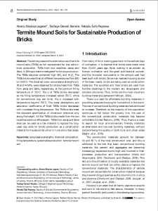 Termite Mound Soils for Sustainable Production of Bricks