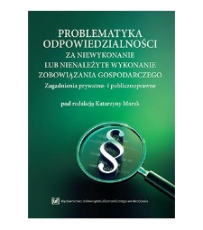 Odpowiedzialność podmiotów prowadzących działalność gospodarczą w obszarze pomocy społecznej za świadczenie usług w formie opieki całodobowej