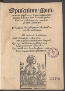 Opusculum Musices nouiter co[n]gestum per Honorandum Sebastianum Felstinen[sem] Artiu[m] Baccalariu[m] pro institutione adolescentum in cantu simplici, seu Gregoriano. Addita est Musica Figuratiua Martino Cromero Beczensi Autore