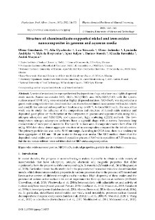 Structure of aluminosilicate-supported nickel and iron oxides nanocomposites in gaseous and aqueous media