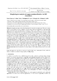 Morphological analysis of organo-montmorillonites via MD simulations