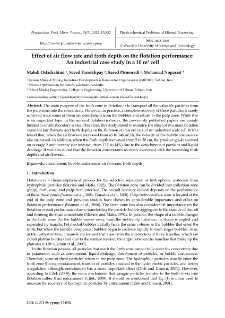Effect of air flow rate and froth depth on the flotation performance : an industrial case study in a 10 m3 cell