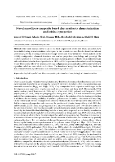 Novel nanofibers composite based clay : synthesis, characterization and intrinsic properties