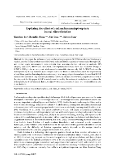 Exploring the effect of sodium hexametaphosphate in coal slime flotation