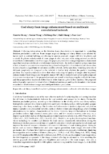 Coal slurry foam image enhancement based on multiscale convolutional network