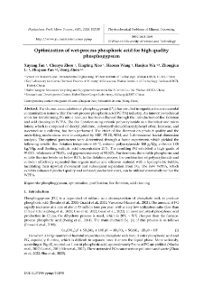Optimization of wet-process phosphoric acid for high-quality phosphogypsum