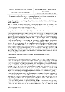 Synergistic effect between starch and sulfuric acid the separation of galena from chalcopyrite