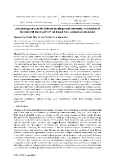 Advancing sustainable lithium mining : semi-industrial validation of the mineral-DeepLabV3+ AI-based XRT segmentation model