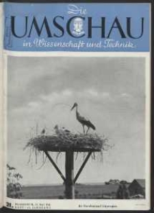 Die Umschau : Wochenschschrift über die Fortschritte in Wissenschaft und Technik. 45. Jahrgang, 1941, Heft 21
