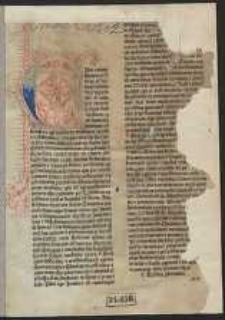 De aegritudinibus particularibus ; De curis febrium