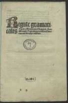 Regulae grammaticales, regimina et constructiones