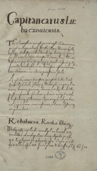 [Lustracja starostwa lubaczowskiego z 1570 roku]