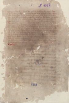 [Ortyle prawa magdeburskiego]