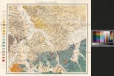 Geognostische Karte von Oberschlesien : und den angrenzenden Gebieten. Section 11: Loslau