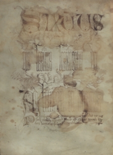 Instructio pro Mariano de Jeziorko, ordinis s. Francisci de observantia vicarii provincie Polonae ratione schismaticorum